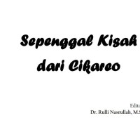 Sepenggal Kisah Diana ebook